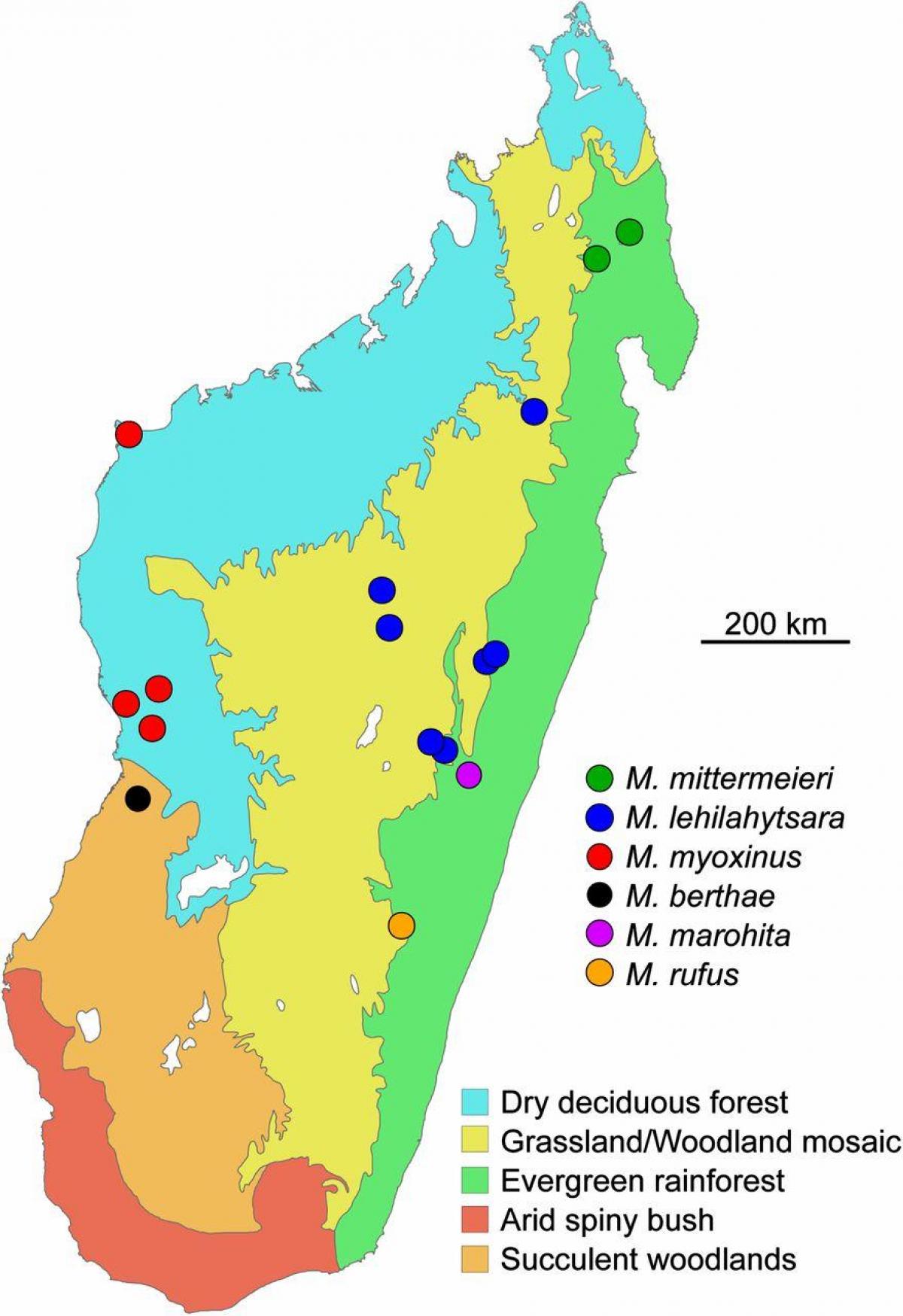 mapa Madagaskar dažďového pralesa
