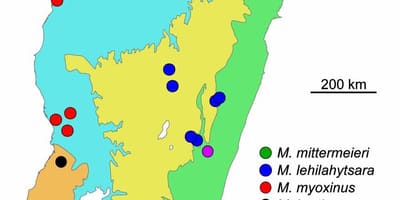 Mapa Madagaskar dažďového pralesa